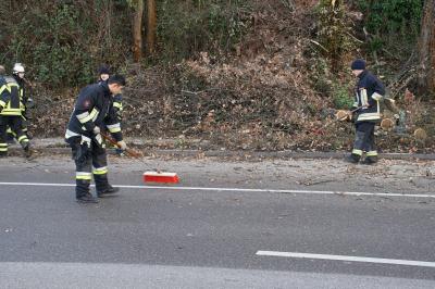 Birkenfeld: Baumfaellarbeiten und Vollsperrung der B294 nach Erdrutsch
